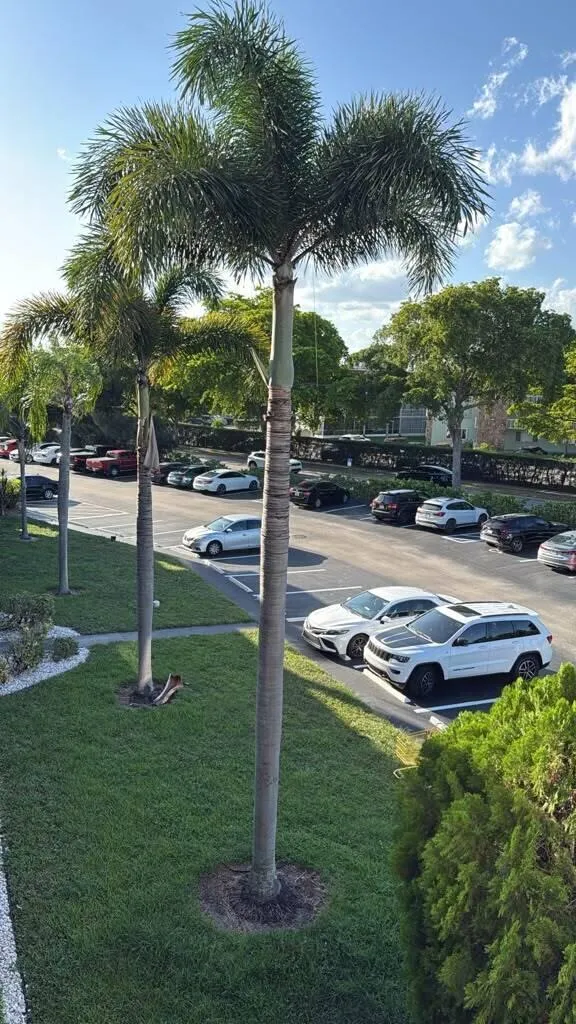 2100 Springdale Boulevard #310 Palm Springs, FL 33461
