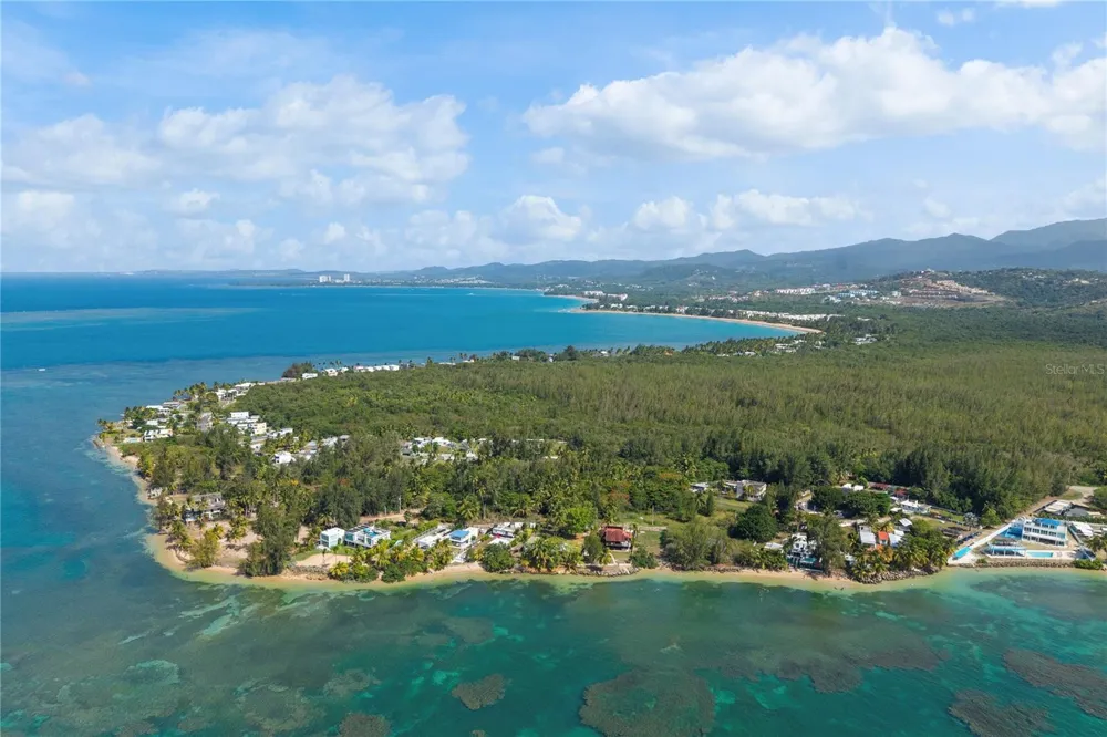 Las Picuas BO. ZARZAL Rio Grande, PR 00745