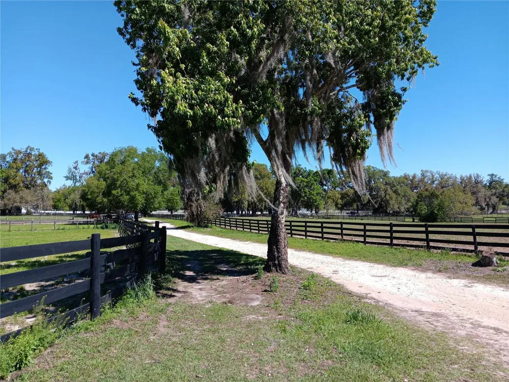 2630 NW 140TH STREET Citra, FL 32113