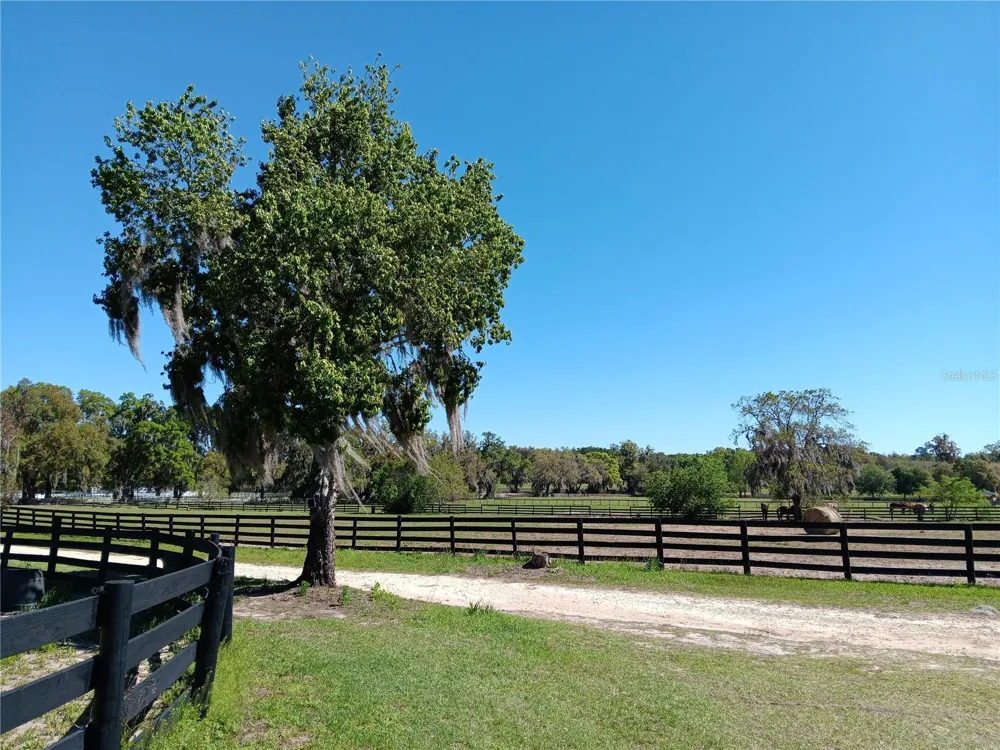 2630 NW 140TH STREET Citra, FL 32113
