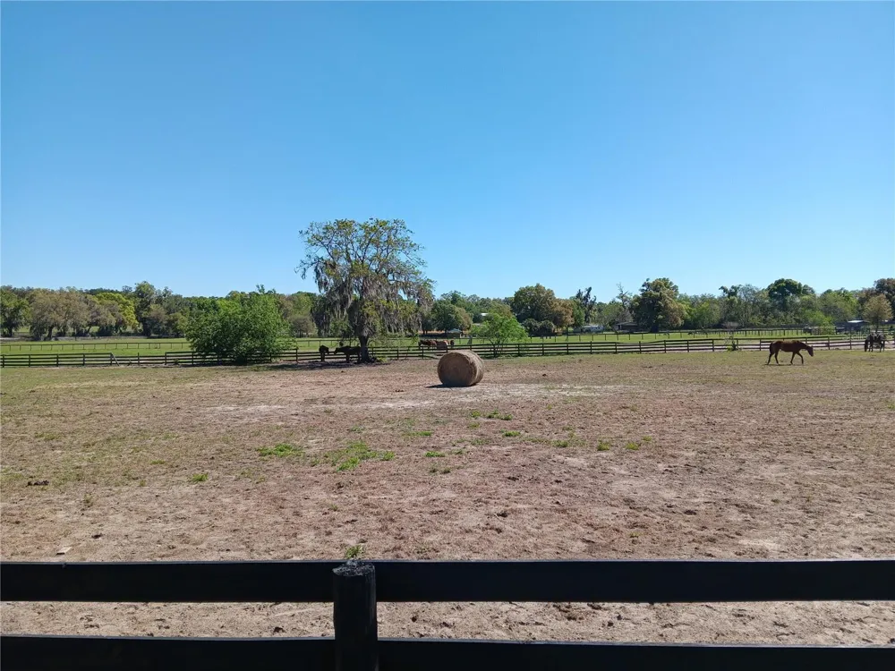 2630 NW 140TH STREET Citra, FL 32113
