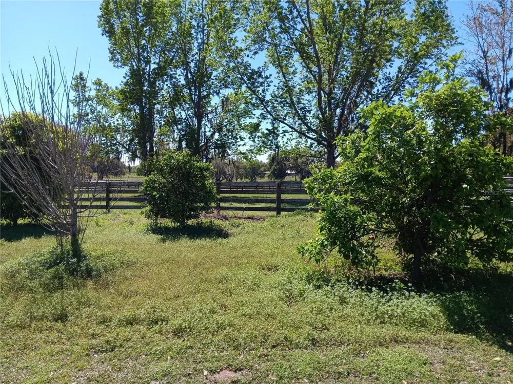2630 NW 140TH STREET Citra, FL 32113