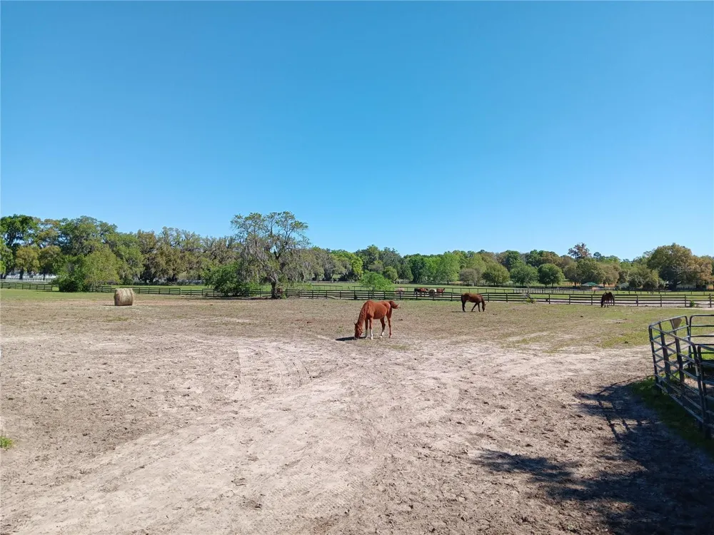 2630 NW 140TH STREET Citra, FL 32113