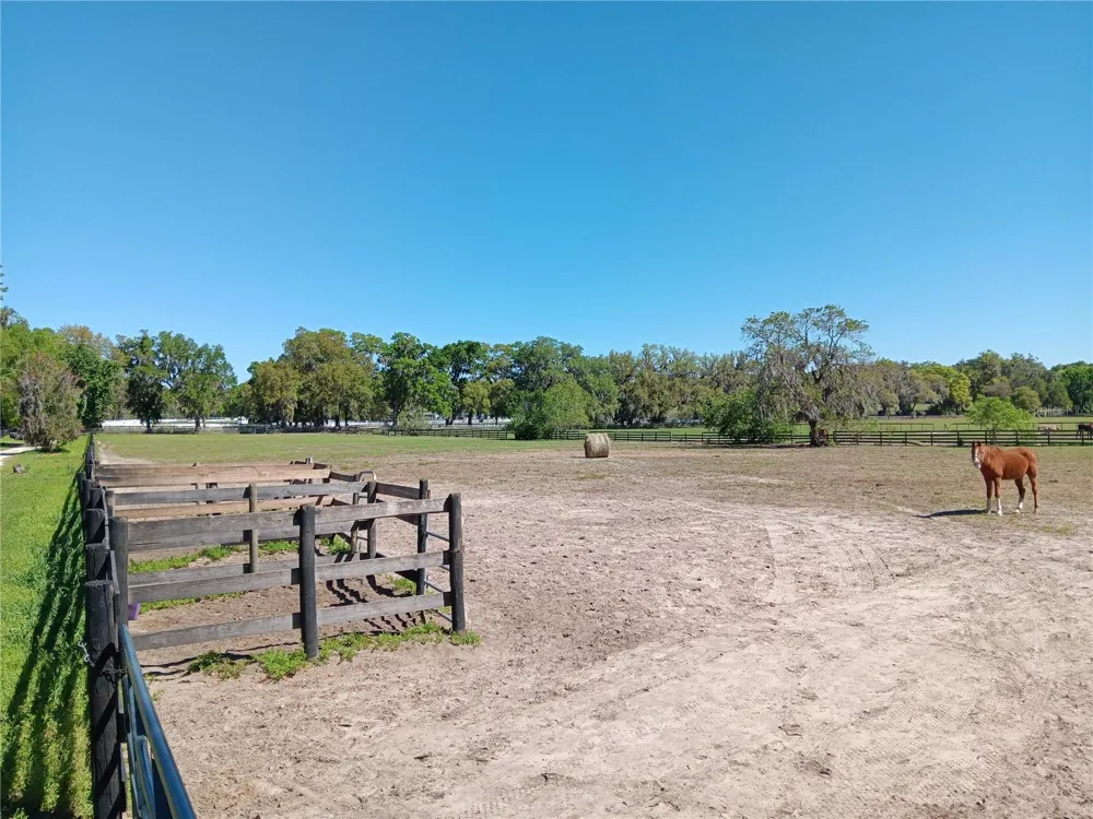 2630 NW 140TH STREET Citra, FL 32113