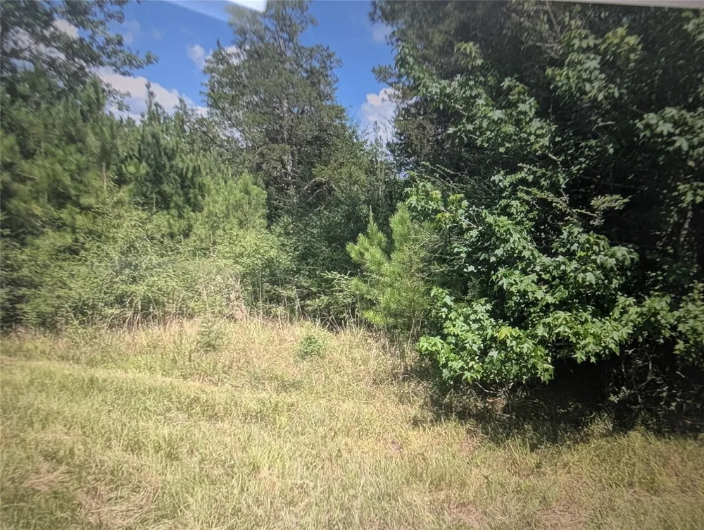 Hwy 59 Livingston, TX 77351