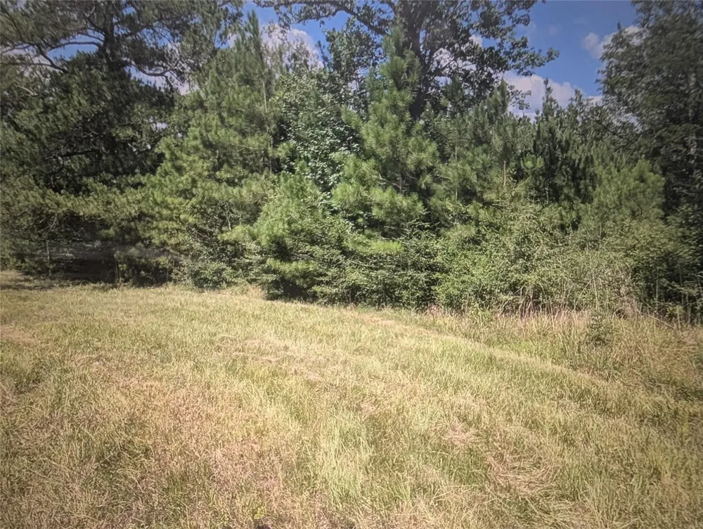 Hwy 59 Livingston, TX 77351