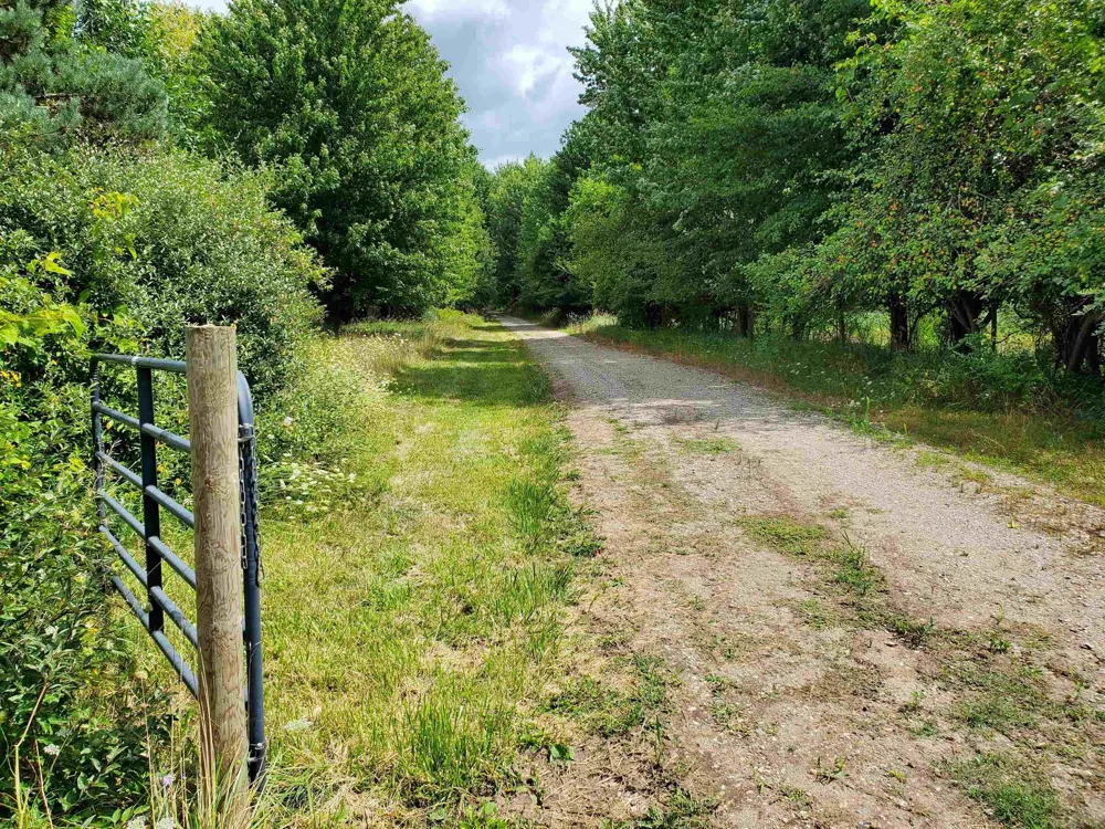 Phipps Road Washington Township, MI 48401