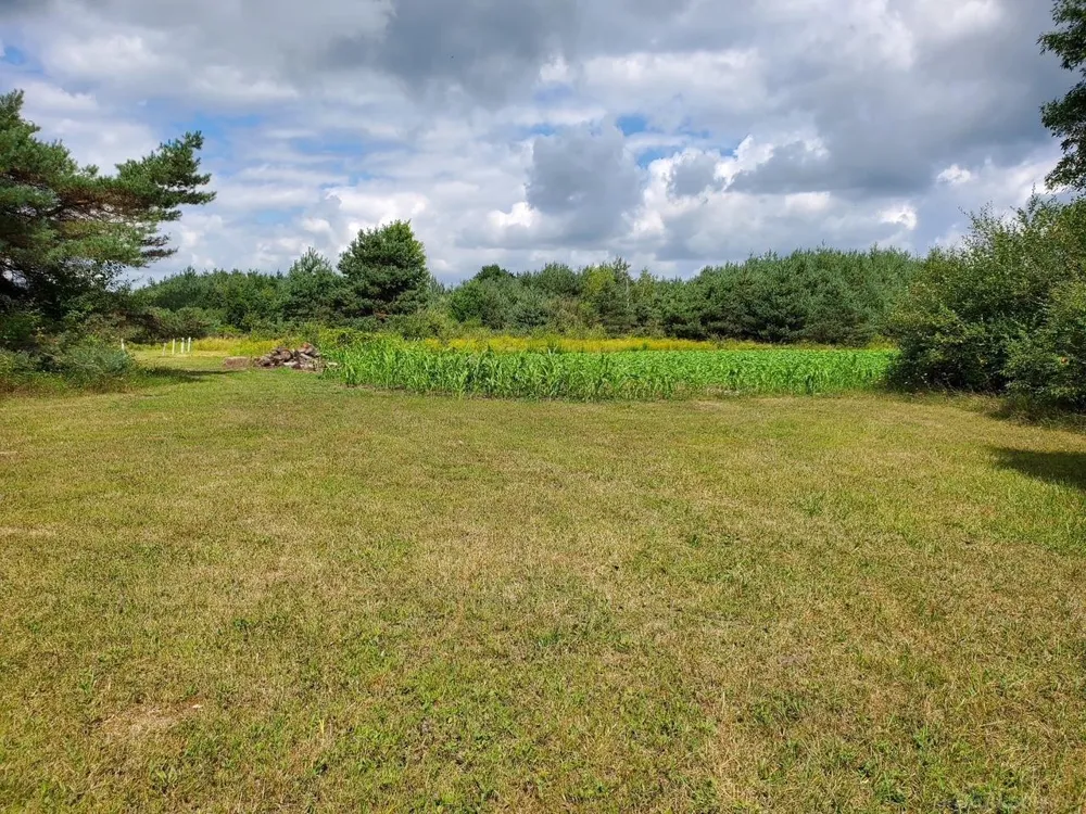 Phipps Road Washington Township, MI 48401