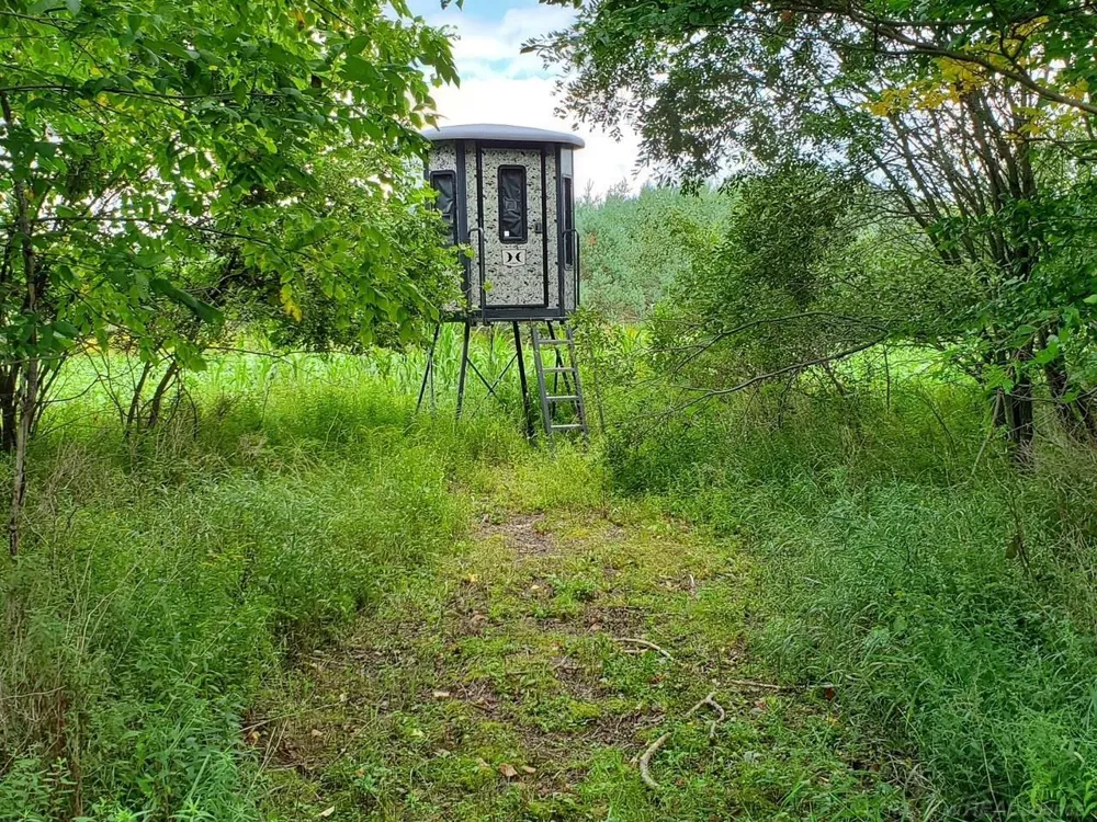 Phipps Road Washington Township, MI 48401