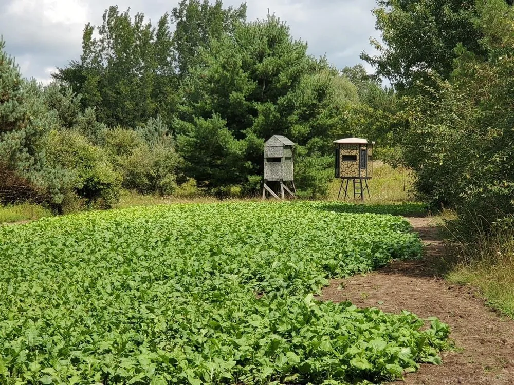Phipps Road Washington Township, MI 48401