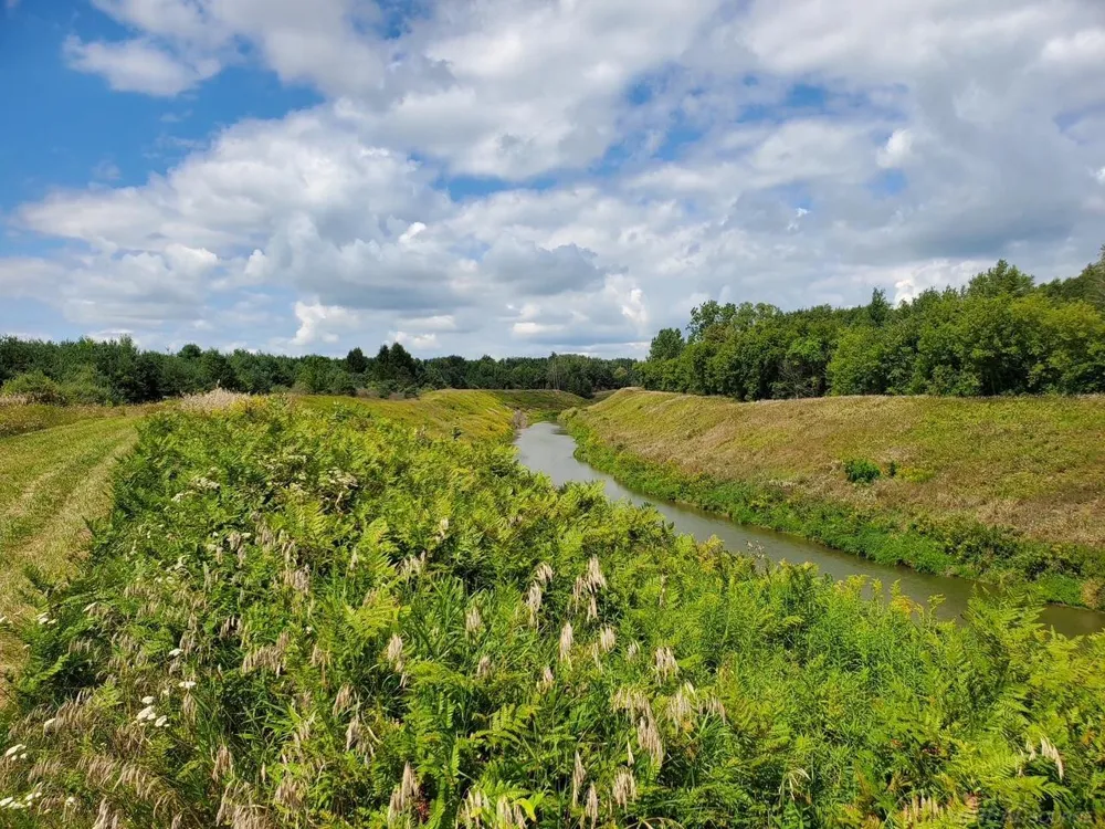 Phipps Road Washington Township, MI 48401