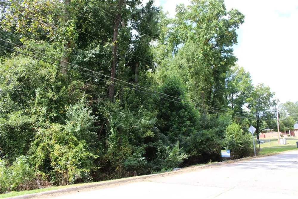 218 Ella Drive Griffin, GA 30223