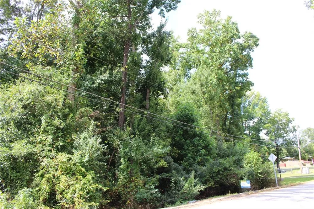 218 Ella Drive Griffin, GA 30223