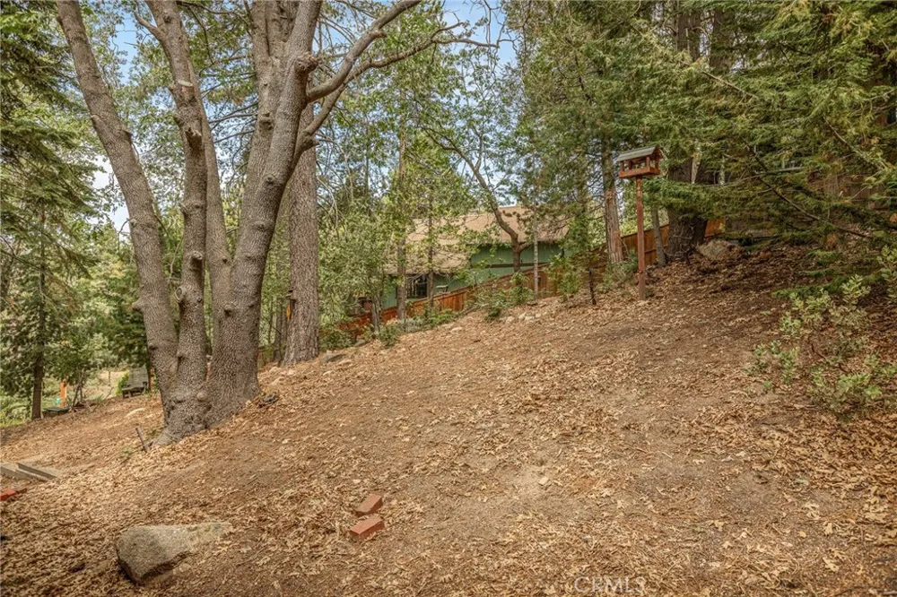 2643 Soutar Running Springs, CA 92382