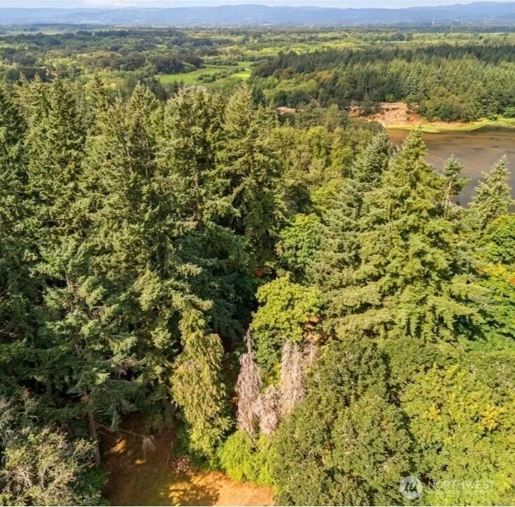 31315 NW 71st Avenue Ridgefield, WA 98642