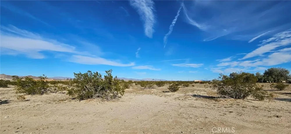 800 Desert Queen 29 Palms, CA 92277