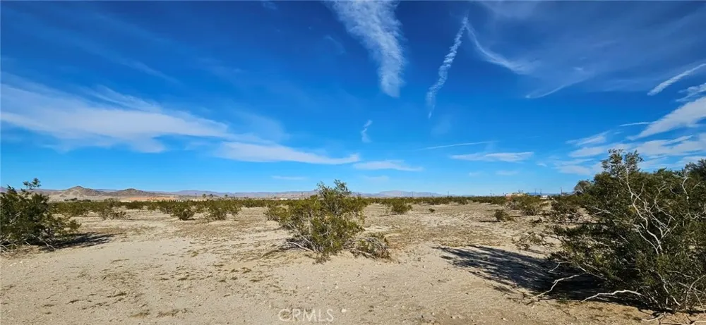 800 Desert Queen 29 Palms, CA 92277