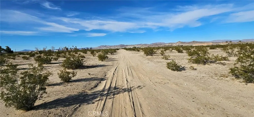 800 Desert Queen 29 Palms, CA 92277