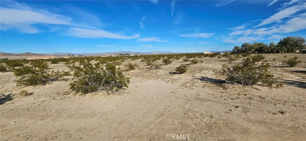 800 Desert Queen 29 Palms, CA 92277