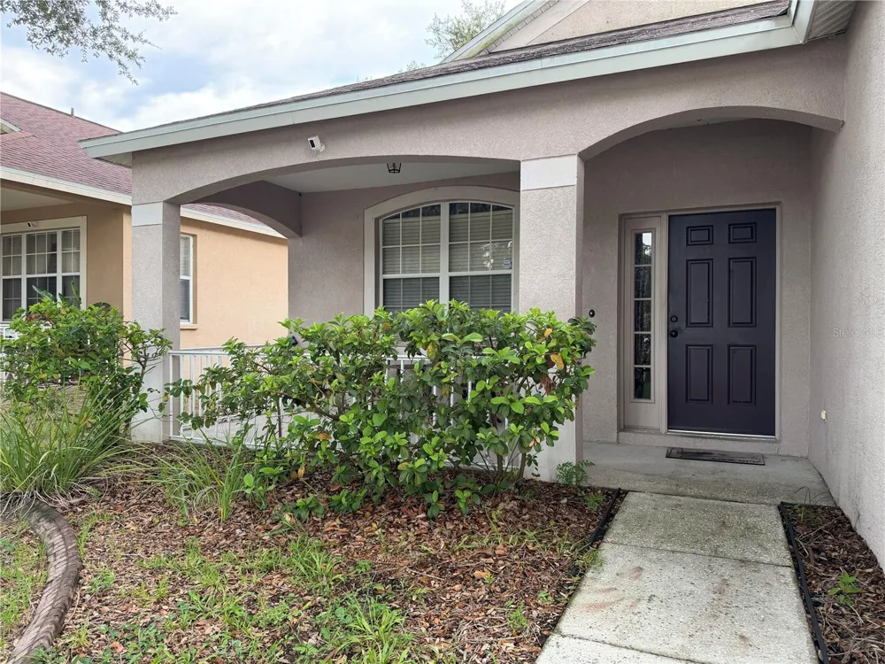 3029 SUMMER CRUISE DRIVE Valrico, FL 33594