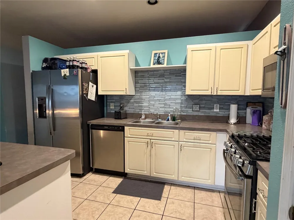 3029 SUMMER CRUISE DRIVE Valrico, FL 33594