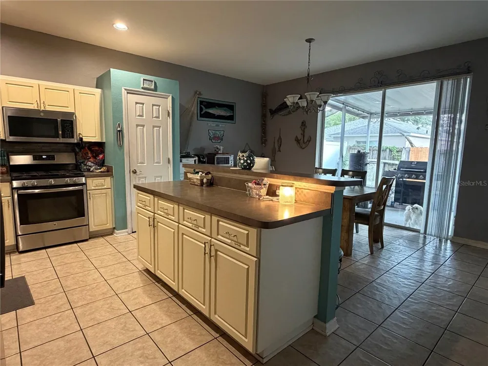 3029 SUMMER CRUISE DRIVE Valrico, FL 33594