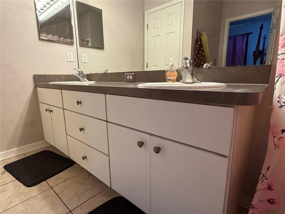 3029 SUMMER CRUISE DRIVE Valrico, FL 33594