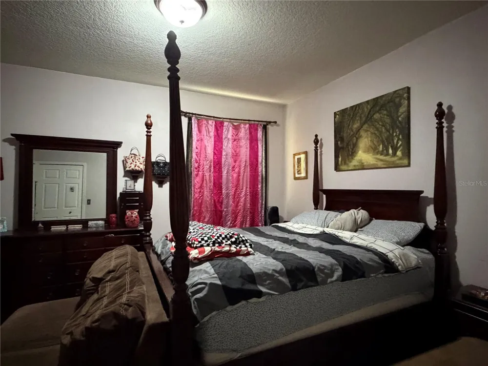 3029 SUMMER CRUISE DRIVE Valrico, FL 33594