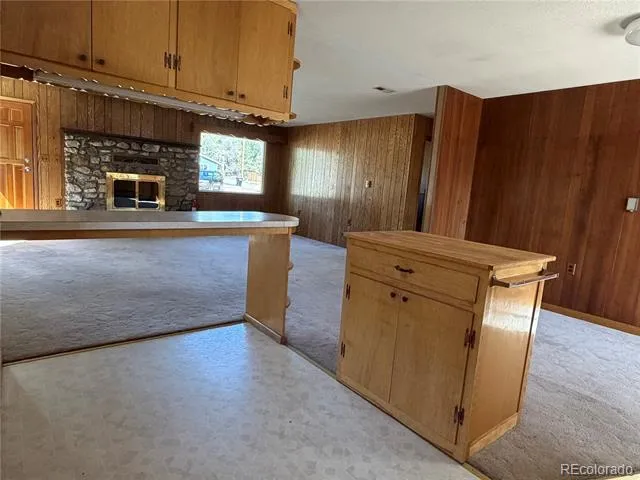 115 Hill Street Buena Vista, CO 81211