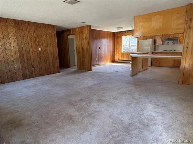 115 Hill Street Buena Vista, CO 81211