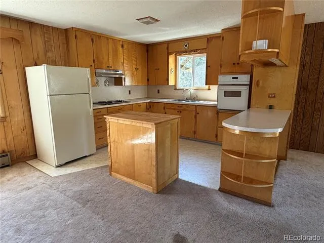 115 Hill Street Buena Vista, CO 81211