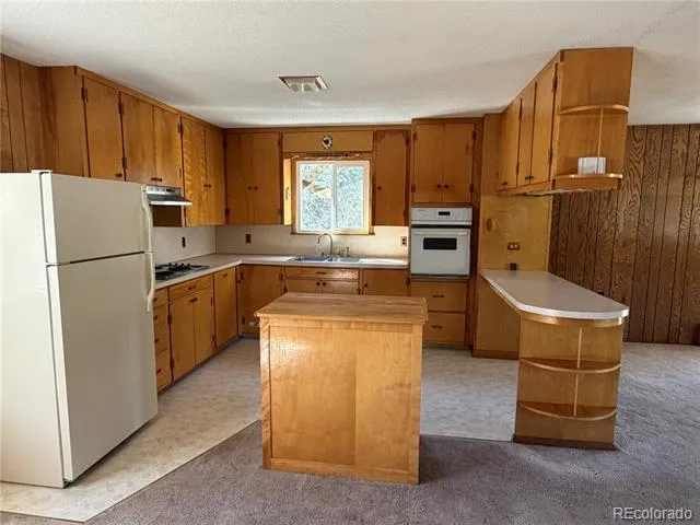 115 Hill Street Buena Vista, CO 81211