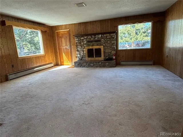 115 Hill Street Buena Vista, CO 81211