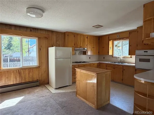 115 Hill Street Buena Vista, CO 81211