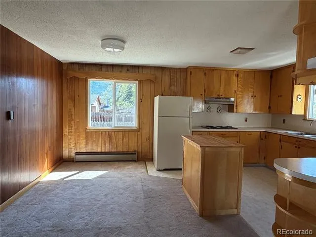 115 Hill Street Buena Vista, CO 81211