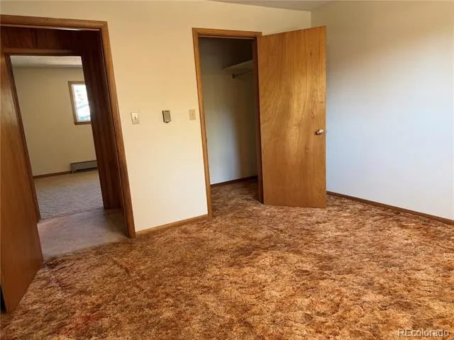 115 Hill Street Buena Vista, CO 81211