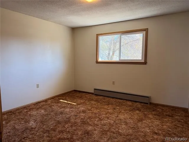 115 Hill Street Buena Vista, CO 81211