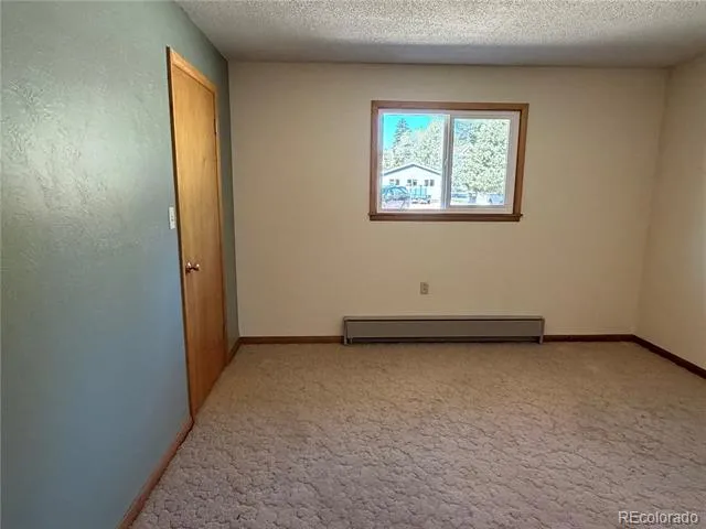 115 Hill Street Buena Vista, CO 81211