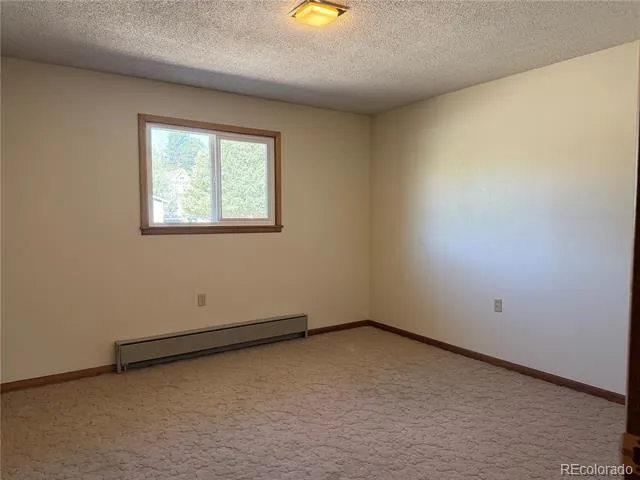 115 Hill Street Buena Vista, CO 81211