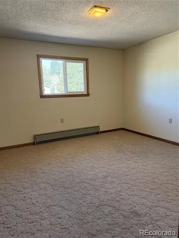 115 Hill Street Buena Vista, CO 81211