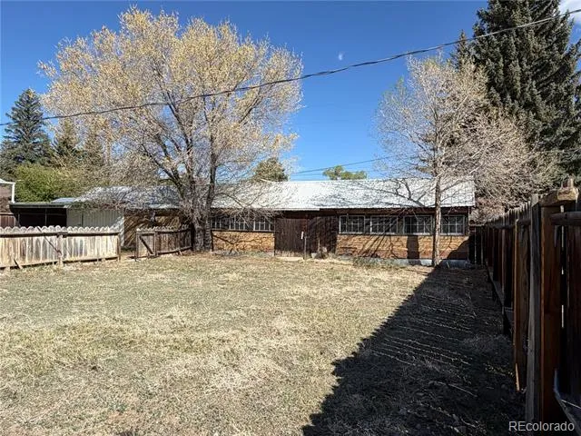 115 Hill Street Buena Vista, CO 81211