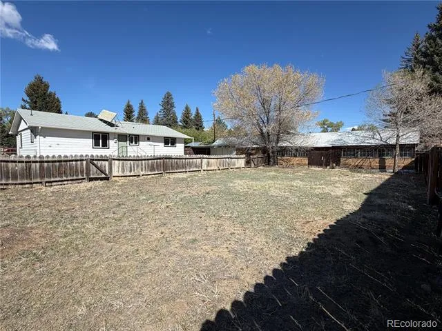 115 Hill Street Buena Vista, CO 81211