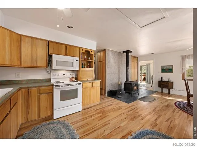 17391 W County Road 74e Red Feather Lakes, CO 80545