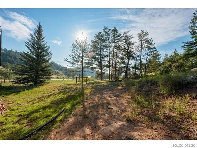 17391 W County Road 74e Red Feather Lakes, CO 80545
