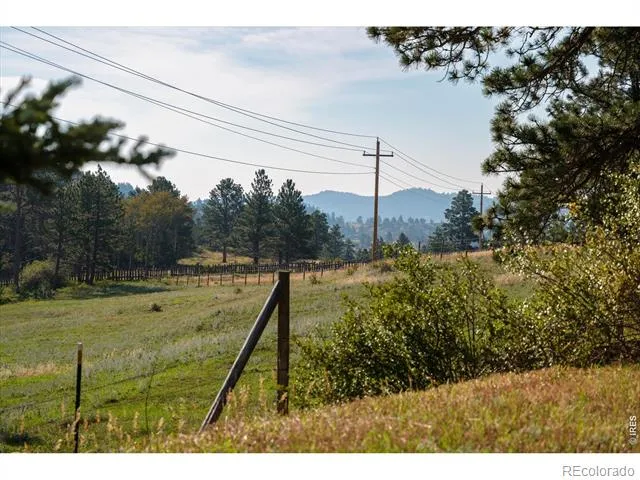17391 W County Road 74e Red Feather Lakes, CO 80545