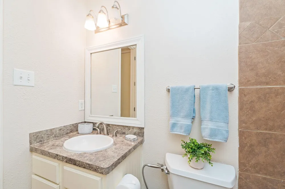 4515 Briar Hollow Place #312 Houston, TX 77027