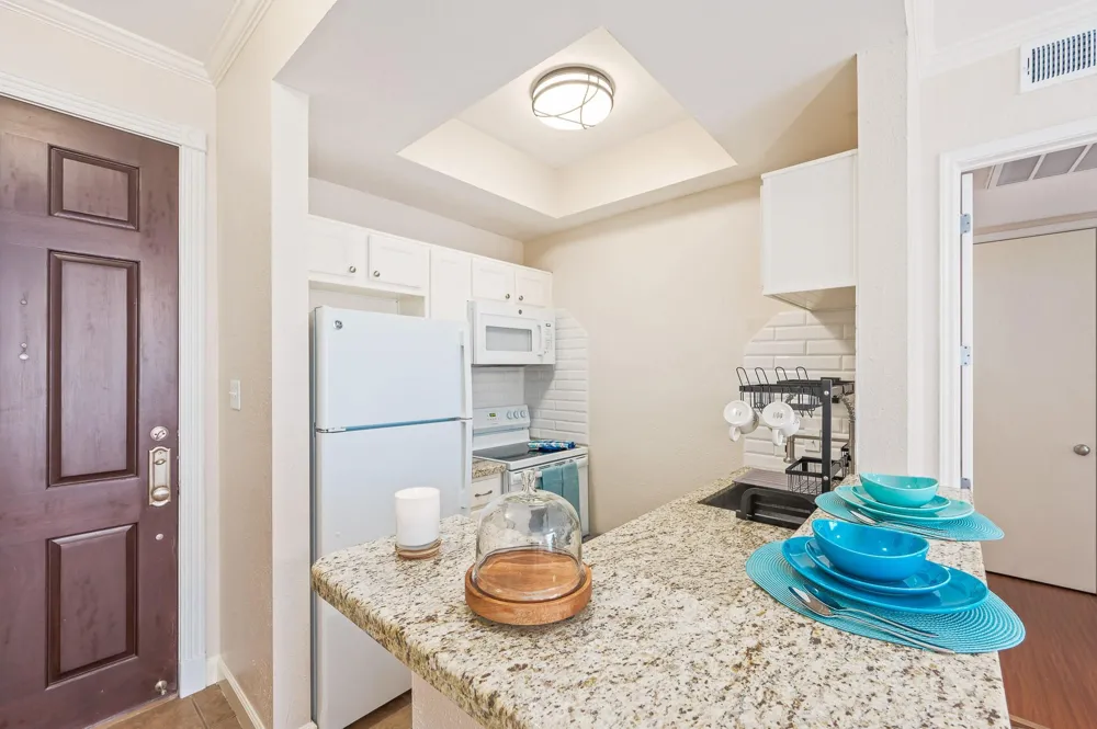 4515 Briar Hollow Place #312 Houston, TX 77027