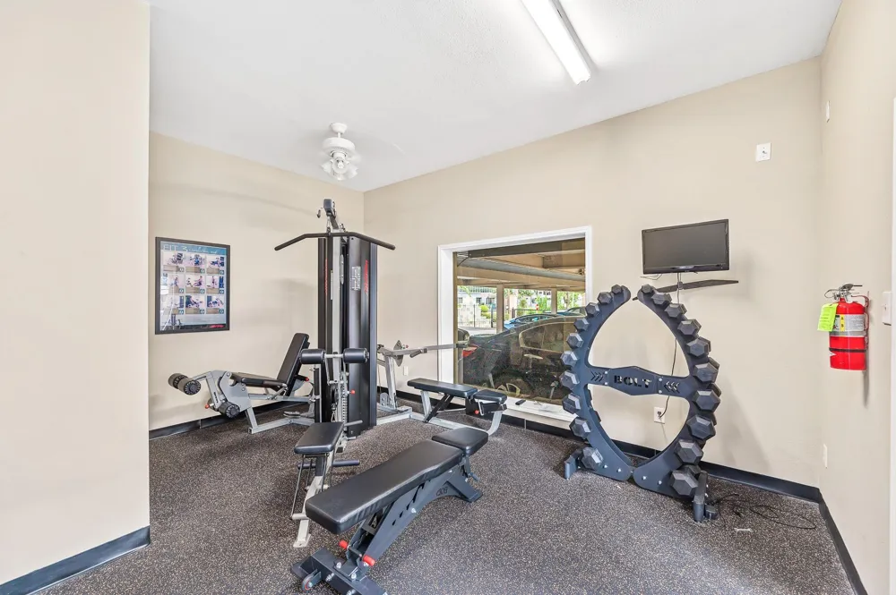 4515 Briar Hollow Place #312 Houston, TX 77027