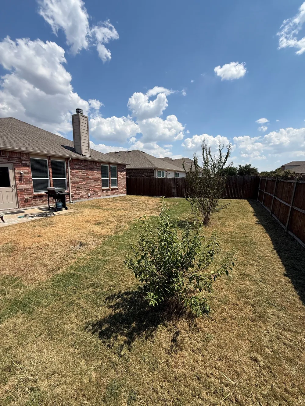 1009 Norias Drive Forney, TX 75126
