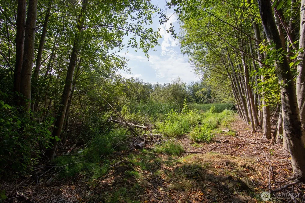 1827 Billie Court Ferndale, WA 98248